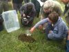 Releasing dung beetles at a dairy farm
