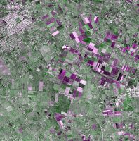 Part of a TerraSAR-X strip map image of the central Canterbury Plains. (c) DLR.