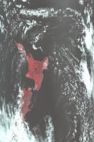 MODIS TERRA image of New Zealand, January 2009.