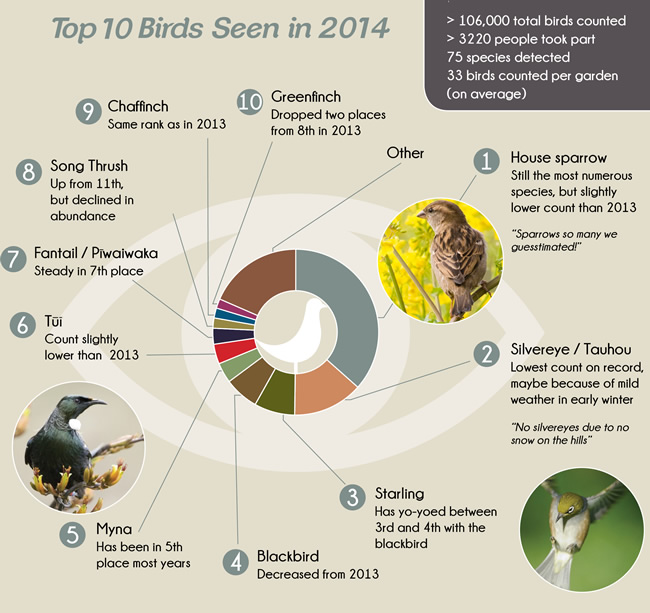 Top ten bird species observed, 2014