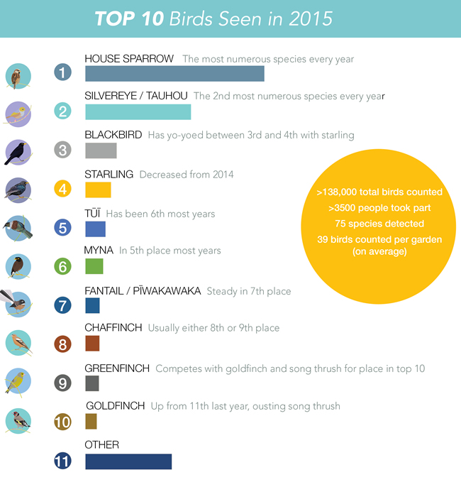 Bird Survey updated results infographic 2015