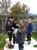 Students using the plant recording app