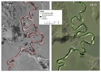Figure 2: An example taken from the Tangowahine River shows the river planforms mapped using historical aerial photography (1956) and recent imagery (2015). The bank migration during this period (1956–2015 is displayed as areas of erosion and accretion in the 2015 map.