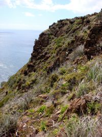 Surville Cliffs, North Cape (Peter de Lange)