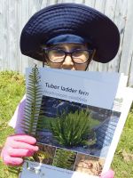 Student with tuber ladder fern. Photographed by a student of Wakaaranga Primary School