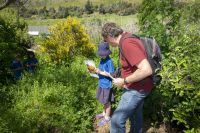 Murray Dawson helping Heathcote Valley School student (Kauri Team) identify plants in the domain. Photo: Brad White