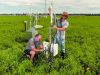 Precision fieldwork in real-world locations is essential to ensure sustainable management on-farm. Manaaki Whenua’s John Hunt and Scott Graham monitor data collection equipment at Ashley Dene in Springston.