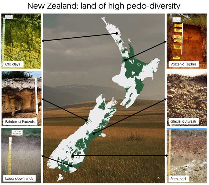 Figure 1 New Zealand is renowned internationally for its high diversity of soil types.