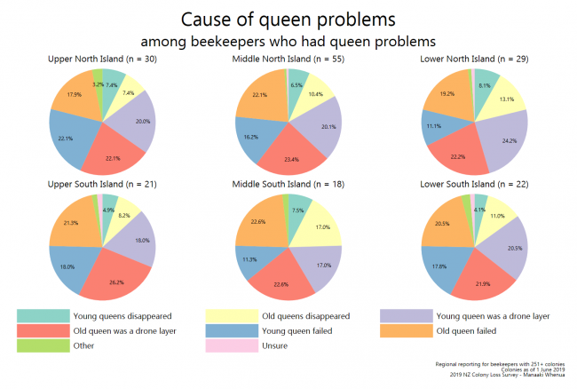 <!--  --> Queen problems (by region)