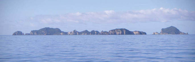 The Aldermen Islands. Image - Catriona Mcleod