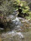 NZN69: Tarawera Falls