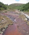 NZN126: Mt Ruapehu seepage (Silica Rapids track)