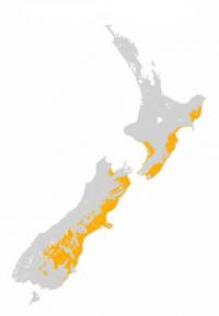 New Zealand's dryland zone (50,000 km<sup>2</sup>) marked in yellow. 
