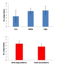 <strong>Fig 2.</strong> Numbers (mean ± 95% CL) of common lizards captured per grid in the core versus the edge (top), and in the north versus the south (bottom), of the predator control area.