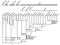 Fig. 2. Molecular phylogeny of the Oleaceae (Wallander & Albert 2000). The dark bar at the top delimits the various tribes, the grey bar beneath, the subtribes of the Oleaceae.