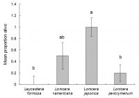 <strong>Figure 4.</strong> Proportion of larvae alive after 25 days on each test plant in the Petri dish larval survival test. An asterisk indicates a statistically significant difference, compared to Japanese honeysuckle (LSD).
