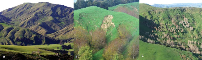 Figure 1. Three scenarios: Scenario A – typical east coast hill country sheep and beef grazing; Scenario B – Shallow mass movement erosion followed by recovery; Scenario C – Soil conservation in hill country