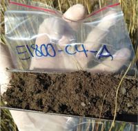 Figure 2. Soil core from shady-side plot at 1800 m a.s.l. Image - BJA.
