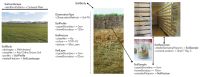 FIGURE 1 Example soil concepts