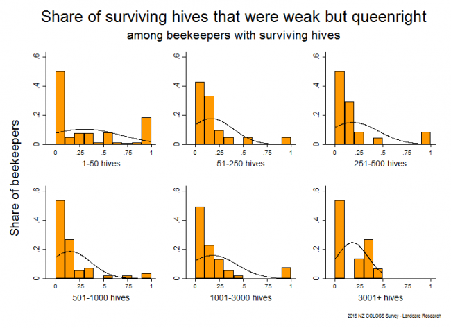 <!--  --> Weak But Queenright Hives: Hives that survived winter 2015 and that were weak but queenright based on reports from all respondents, by operation size. 