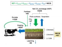 FIGURE 2 Net ecosystem carbon budget (NECB) of the irrigated dairy pasture, and the C exchanges contributing to it (means of 3 years), in kg C/ha/yr. Positive values indicate that the pasture system gains C.