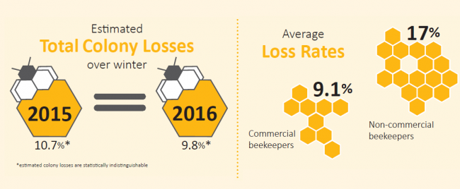 <!-- <strong>More: </strong> 
<a href=https://oldwww.landcareresearch.co.nz/science/portfolios/enhancing-policy-effectiveness/bee-health/2016-survey/winter-2016-losses>Colony losses, 2016</a><br>
<a href=https://oldwww.landcareresearch.co.nz/science/portfolios/enhancing-policy-effectiveness/bee-health/2015-results/winter-2015-losses>Colony losses, 2015</a><br> --> 