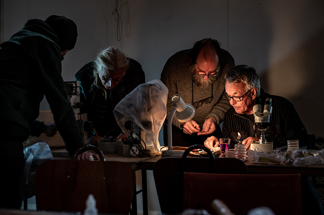 Penelope Gillette, Michael Pilkington, and John Steel from University of Otago, and Peter Johnston from Manaaki Whenua working to identify specimens