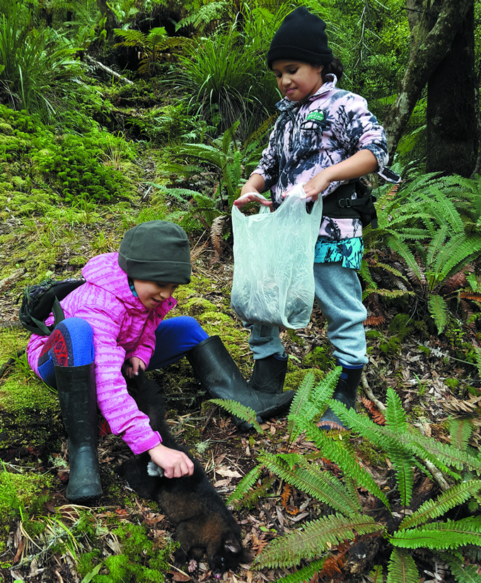 Maioha Timoti and Te Aotarewa Timoti pluck possums off a trapline in Ruatahuna, Te Urewera.