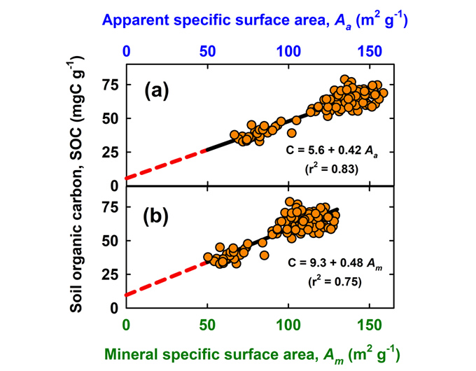 Figure 2: SOC and specific surface area measured for different soils at Troughton Farm (Waikato region). SOC is plotted against apparent specific surface area (a) and against mineral specific surface area (b) after subtracting the SOC based water adsorption from measurements of apparent specific surface area. Data from G.Y.K. Moinet (unpublished).