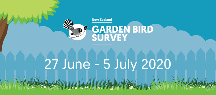 NZ Garden Bird Survey