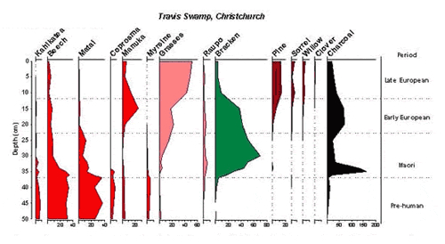 Pollen diagram for Travis Swamp, Christchurch.