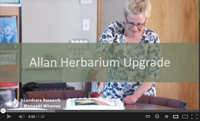 Screenshot of the Allan Herbarium upgrade video.