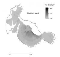<strong>Fig. 1</strong> The predicted density distribution of breeding pairs of kuia on Moutohorā. Darker colours indicate areas of higher pair density (per m2). Density predictions were not made for the white areas, which are unsuitable habitat and where few, if any, breeding pairs were thought to exist (i.e. steep cliffs, or rocky or sandy substrate).