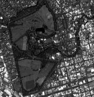 ALOS PRISM image of Hagley Park, Christchurch, December 200. JAXA retains ownership of ALOS data.