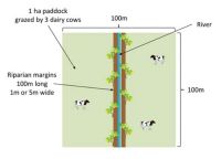 Figure 1. Farming system modelled.