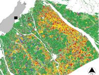 Figure 1. Land use classification for Summer 2011/12, Mid-Canterbury. Shades of green are pastoral types, yellow/orange/red shades are single-season crops, and blue indicates winter forage paddocks already planted in November–December. Rivers, towns, etc., are masked out (white).