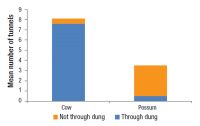<strong>Fig. </strong> Mean numbers of tunnels through the dung and not associated with dung, for dung beetles given access to either cow or possum dung.