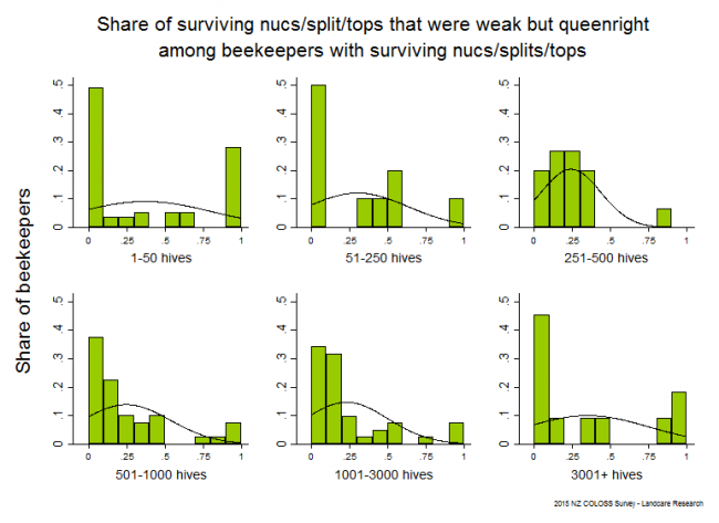 <!--  --> Weak But Queenright Nucs/Splits/Tops: Nucs/splits/tops that survived winter 2015 and that were weak but queenright based on reports from all respondents, by operation size. 