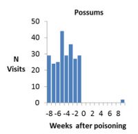 Number of visits by possums