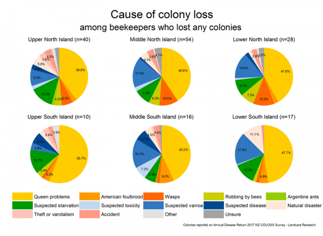 <!-- Share of colony losses attributed to various causes based on reports from respondents with more than 250 colonies who lost any colonies, by region. --> Share of colony losses attributed to various causes based on reports from respondents with more than 250 colonies who lost any colonies, by region.
