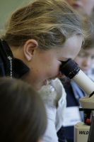 Kaniere School student looking at biocontrol insects through a microscope