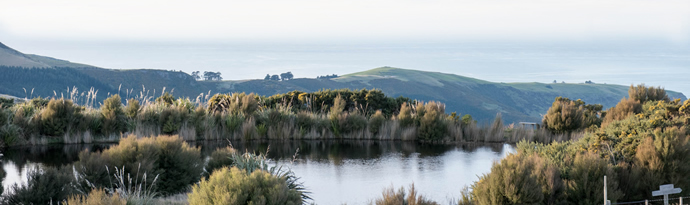 Wetland