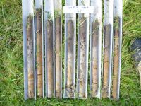 Soil cores from an Ultic soil under pasture.