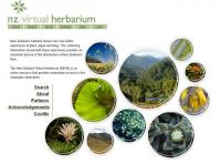 Virtual Herbarium 
