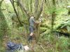 Setting up a transect to measure seedfall and stick insect eggs in the Tararua Ranges