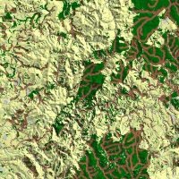 EcoSat riparian vegetation and watercourses in the Wairarapa. Woody vegetation in riparian zones is shown in brown. Other woody vegetation is shown in dark green. Pasture is yellow, bare ground is grey and watercourses are blue