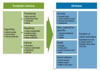 Figure 1. Ecosystem services provided by New Zealand’s planted forests (adapted from the Millennium Ecosystem Assessment (2005)).