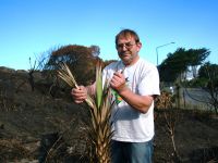 Dr Colin Meurk expects some of the burnt plants, like this cabbage tree, will regenerate.  