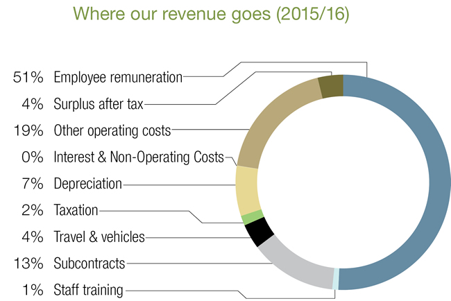 revenue_goes