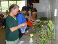 Robinne Wiess and students setting up biocontrol experiment